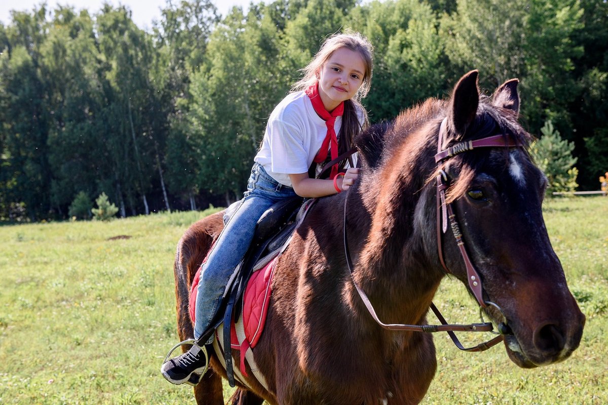 Эволюция лагерь в Нижнем Новгороде