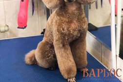 Парикмахерская для животных Барбос, с рейтингом 2.9 - находится по адресу Сочи, улица Гагарина, 56 