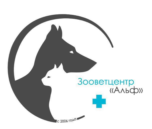 Ветеринарная карта животного
