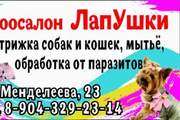 Зоосалон ЛапУшки, с рейтингом 4 - находится по адресу Омск, проспект Менделеева, 23 