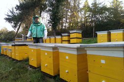 Новая Пасека, с рейтингом 3.3 - находится по адресу Курган, Омская улица, 138 к1 