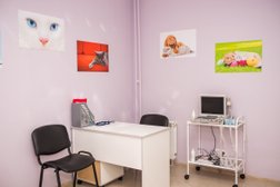 Ветеринарная клиника Зверополис, с рейтингом 2.6 - находится по адресу Красноярск, улица Щорса, 43 