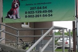 Ветеринарный кабинет Зверьё моё, с рейтингом 3.6 - находится по адресу Екатеринбург, Курьинский переулок, 3 