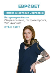 Ветеринарный хирург, ветеринар Анастасия Сергеевна Попова