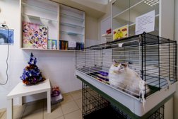 Ветеринарная служба ЗооМир, с рейтингом 2.5 - находится по адресу Нижегородская область, д. Афонино, Академическая улица, 2 