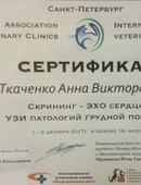 Ткаченко Анна Викторовна