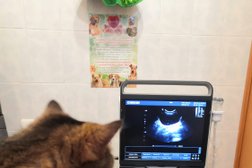 Ветеринарная клиника ВетСвет, с рейтингом 4.3 - находится по адресу Уфа, Хадии Давлетшиной бульвар, 7 