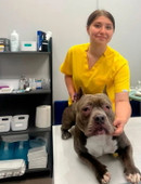 Петренко Елена Сергеевна