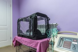 Ветеринарная клиника Лесной городок, с рейтингом 3.3 - находится по адресу Московская область, Балашиха, микрорайон Гагарина, 29 