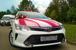 Компания Свадебный поезд, с рейтингом 4.1 - находится по адресу Иваново, улица Лежневская, 183 к1 
