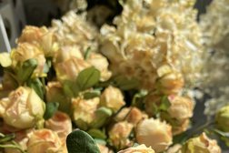 Магазин искусственных цветов Солнечный сад, с рейтингом 3.8 - находится по адресу Краснодар, Новороссийская улица, 2А 