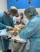 Левин Александр Алексеевич