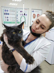 Ветеринарный врач-терапевт, ветеринарный врач-офтальмолог Ксения Валерьевна Лукина