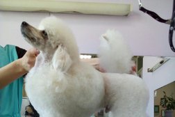 Груминг-салон, с рейтингом 5 - находится по адресу Красноярск, улица Шевченко, 44 