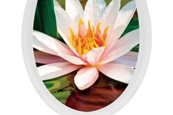 Магазин товаров для дома 1000 мелочей, с рейтингом 4 - находится по адресу Республика Башкортостан, Салават, бульвар Космонавтов, 43 