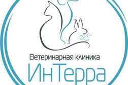 Ветеринарная клиника ИнТерра, с рейтингом 3.2 - находится по адресу Новосибирск, Выставочная улица, 15/1 