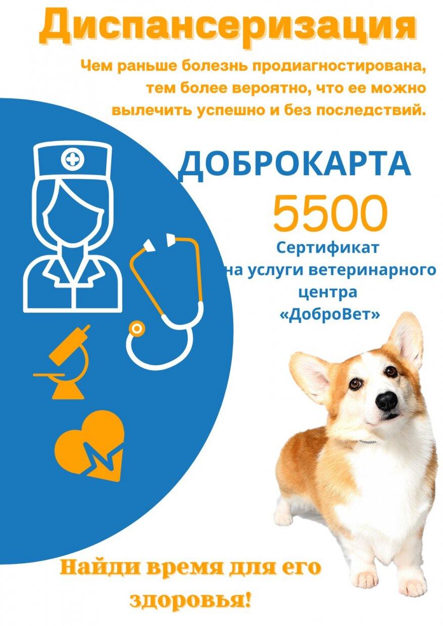 Союз ветеринарных клиник