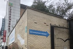 Ветеринарная клиника Носики Хвостики, с рейтингом 2.8 - находится по адресу Владивосток, улица Борисенко, 10/7 