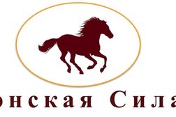 Агентство недвижимости Донская Сила, с рейтингом 4.5 - находится по адресу Ростов-на-Дону, Будённовский проспект, 80 