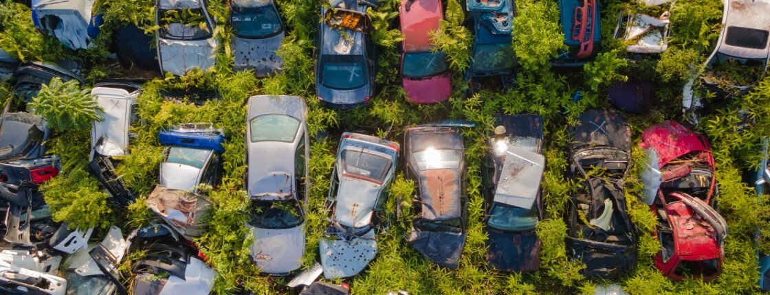 Источник фото: Capix Denan / Shutterstock