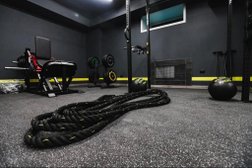 Vsv-fitness