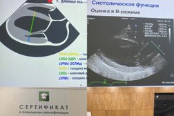 Ветеринарная клиника Биота, с рейтингом 4 - находится по адресу Омск, Слободская улица, 59 
