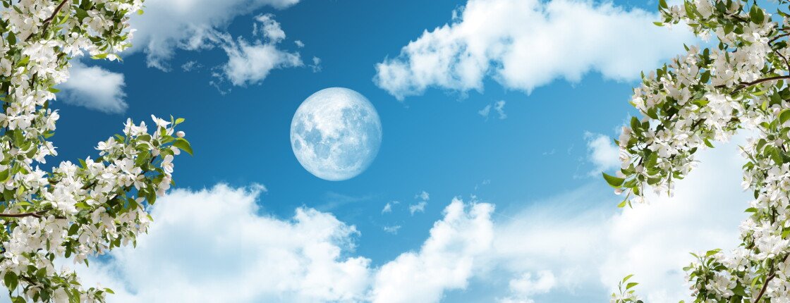 Источник фото: Gergitek / Shutterstock