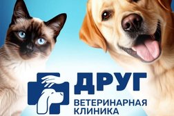 Ветеринарная клиника Друг Ко, с рейтингом 4.2 - находится по адресу Вологда, ГПЗ 23 1-й микрорайон, 10 к2 