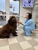 Сопова Ольга