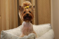 Зоосалон Oh my dog, с рейтингом 4.8 - находится по адресу Сочи, Пластунская, 96 