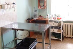 Ветеринарная клиника Бонни-вет, с рейтингом 3.5 - находится по адресу Республика Башкортостан, Уфа, Коммунистическая, 87 