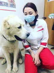 Ветеринар, ветеринарный врач-терапевт Гульсина Гайнулловна Елейник