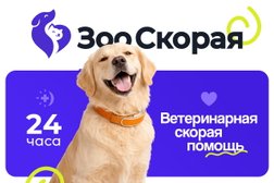 Ветеринарная служба ЗооСкорая, с рейтингом 4.9 - находится по адресу Московская область, Ногинск, улица Климова, 50 