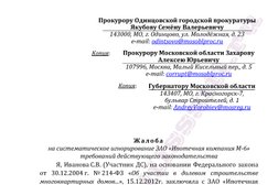 Светлана №46