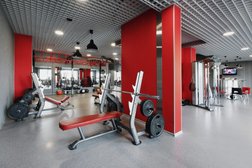 Фитнес-клуб Arnold gym, с рейтингом 1.8 - находится по адресу Московская область, Люберцы, СНТ Зелёная зона территория, 97 