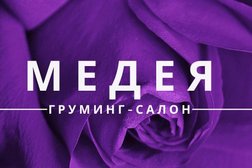 Зоосалон Медея, с рейтингом 4.2 - находится по адресу Рязань, Введенская улица, 91 