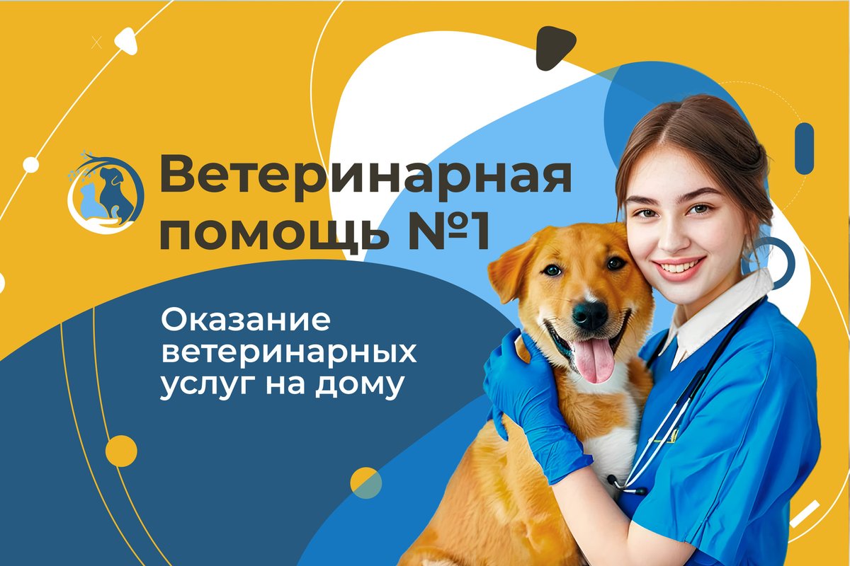 фотография Выездной ветеринарной службы ЗООВЕТ-Дом в Мытищах