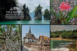 Туристическое агентство Тайный Меридиан, с рейтингом 4.4 - находится по адресу Москва, Дубнинская улица, 2к6 