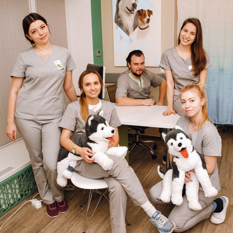 фотография Ветеринарной клиники Аверия на Двинской улице, 15б