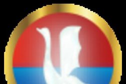 Люстры Гусь