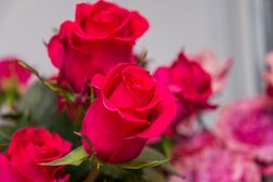 Цветочная мастерская Pink Stork, с рейтингом 5 - находится по адресу Москва, Новомосковский административный округ, район Коммунарка, улица Лобановский Лес, 11 