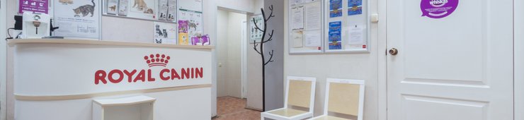 ветлечебница верхняя пышма радуга телефон. Смотреть фото ветлечебница верхняя пышма радуга телефон. Смотреть картинку ветлечебница верхняя пышма радуга телефон. Картинка про ветлечебница верхняя пышма радуга телефон. Фото ветлечебница верхняя пышма радуга телефон