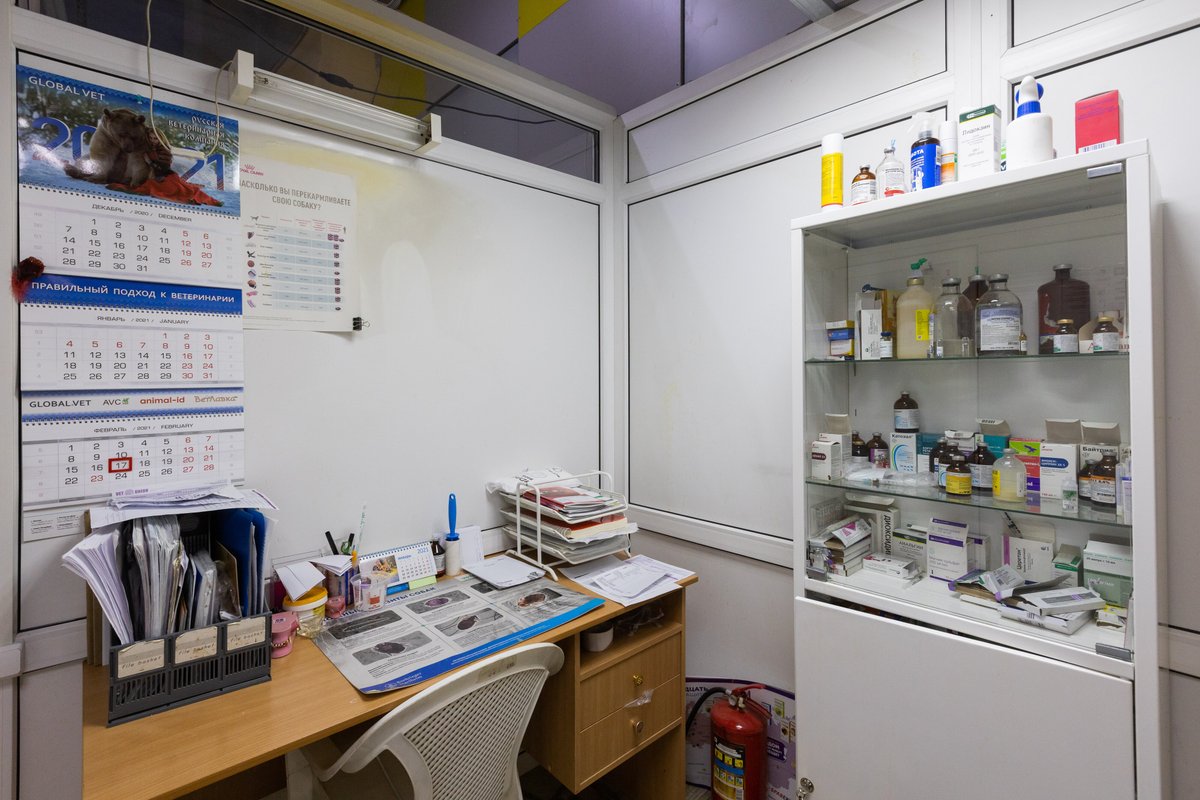 Халтурина 30 уфа ветклиника. Степана халтурина 10 казань. Содружество ул степана халтурина 30. Содружество ул степана халтурина 30. Уфа, улица степана халтурина, 28.