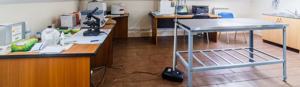 какая лучшая ветклиника в ярославле. Смотреть фото какая лучшая ветклиника в ярославле. Смотреть картинку какая лучшая ветклиника в ярославле. Картинка про какая лучшая ветклиника в ярославле. Фото какая лучшая ветклиника в ярославле какая лучшая ветклиника в ярославле. Смотреть фото какая лучшая ветклиника в ярославле. Смотреть картинку какая лучшая ветклиника в ярославле. Картинка про какая лучшая ветклиника в ярославле. Фото какая лучшая ветклиника в ярославле