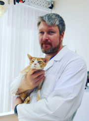 Ветеринарный гастроэнтеролог, ветеринар Михаил Сергеевич Калишьян