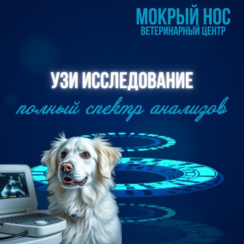 фотография Ветеринарного центра Мокрый нос на Халтуринской улице, д18