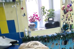 Салон-парикмахерская Эстетика, с рейтингом 2 - находится по адресу Самарская область, Новокуйбышевск, улица Кутузова, 19 