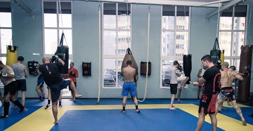 Ветеринарные клиники москвы алиса