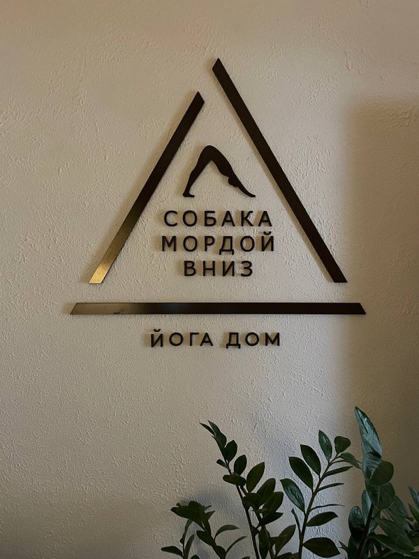 фотография Йога-дома Собака мордой вниз на метро Октябрьское поле
