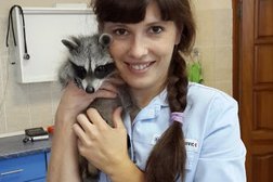 Ветеринарная клиника Мистер Dog, с рейтингом 3 - находится по адресу Брянск, улица Ульянова, 122 